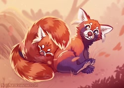 Size: 900x637 | Tagged: safe, artist:mr.lemur, canine, mammal, red panda, feral, ambiguous gender, beanbrows, duo, duo ambiguous, ear fluff, ears, eyes closed, fluff, fur, heart, heart eyes, paws, red body, red fur, signature, sitting, striped tail, stripes, tail, tail fluff, wingding eyes
