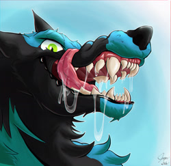 Size: 4390x4273 | Tagged: safe, artist:jasper_shiba, canine, dragon, fictional species, hybrid, mammal, wolf, feral, absurd resolution, black body, black fur, blue background, blue body, blue fur, bust, fangs, fluff, fur, green eyes, licking lips, open mouth, portrait, saliva, saliva trail, sharp teeth, signature, simple background, solo, teeth, tongue, tongue out
