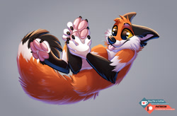 Size: 1171x766 | Tagged: safe, artist:tayrawhite, canine, fox, mammal, feral, male, paw pads, paws, solo, solo male, tongue, tongue out, underpaw