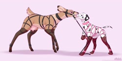 Size: 3612x1812 | Tagged: suggestive, artist:loimu, oc, oc:dottipink, oc:loimu (loimu), canine, cervid, dalmatian, deer, dog, mammal, feral, bdsm, big ears, blue eyes, blushing, bondage, bridle, brown body, brown fur, clothes, cloven hooves, doe, dominant, dominant female, duo, ears, female, female/female, feral/feral, french kiss, fur, happy, harness, hooves, interspecies, kissing, leash, legwear, lingerie, magenta eyes, multicolored body, multicolored fur, nudity, partial nudity, pink eyes, simple background, small dom big sub, spots, spotted body, spotted fur, stockings, submissive, submissive female, tack, tan body, tan fur, teats, tongue, two toned body, two toned fur, udders, underwear, watermark