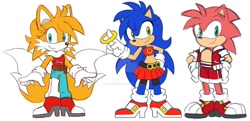 Size: 900x434 | Tagged: safe, artist:domestic-hedgehog, amy rose (sonic), miles "tails" prower (sonic), sonic the hedgehog (sonic), canine, fox, hedgehog, mammal, red fox, anthro, sega, sonic the hedgehog (series), 2020, amber eyes, bottomwear, clothes, cyan eyes, dipstick tail, female, fluff, green eyes, group, jeans, male, mila "tails" prower, multiple tails, orange tail, pants, quills, ring (sonic), rule 63, shorts, skirt, sonique, tail, tail fluff, tailsko, trio, two tails, vixen, white tail