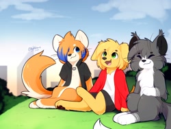 Size: 2000x1500 | Tagged: safe, artist:accelldraws, oc, oc only, oc:aaron (accelldraws), oc:friday (accelldraws), oc:valence (accelldraws), canine, cat, dog, feline, golden retriever, maine coon, mammal, semi-anthro, 2020, brown body, brown fur, city, clothes, female, fur, gray body, gray fur, green eyes, group, hill, male, open mouth, orange body, orange fur, paw pads, paws, scenery, shirt, sitting, smiling, topwear, trio, white body, white fur