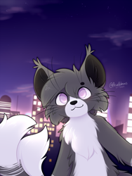 Size: 1500x2000 | Tagged: safe, artist:accelldraws, oc, oc only, oc:valence (accelldraws), cat, feline, maine coon, mammal, semi-anthro, 2020, chest fluff, city, fluff, looking at you, male, multiple tails, smiling, smiling at you, solo, solo male, tail, twilight (astronomy), two tails