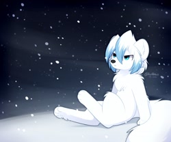 Size: 1800x1500 | Tagged: safe, artist:accelldraws, oc, oc only, oc:rin (accelldraws), arctic fox, canine, fox, mammal, semi-anthro, 2020, ambiguous gender, blue eyes, chest fluff, fluff, frowning, fur, sitting, snow, solo, solo ambiguous, white body, white fur