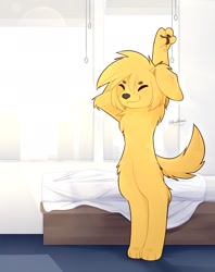 Size: 1500x1890 | Tagged: safe, artist:accelldraws, oc, oc only, oc:friday (accelldraws), canine, dog, golden retriever, mammal, semi-anthro, 2020, bed, bedroom, eyes closed, female, indoors, morning, paw pads, paws, smiling, solo, solo female, sunlight