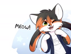 Size: 1800x1350 | Tagged: safe, artist:accelldraws, oc, oc only, oc:fennel (accelldraws), calico, cat, feline, mammal, semi-anthro, 2020, abstract background, cheek fluff, clothes, fluff, green eyes, looking at you, meow, one eye closed, open mouth, shirt, smiling, smiling at you, topwear, winking