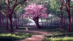 Size: 3500x2000 | Tagged: safe, artist:itsdanfango, oc, oc only, oc:oliver, bovid, goat, mammal, feral, 2016, cherry blossoms, cherry tree, dappled sunlight, forest, fur, high res, male, path, scenery, solo, solo male, tree, white body, white fur