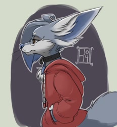 Size: 1184x1280 | Tagged: safe, artist:reign-2004, oc, oc only, oc:maxwell (reign-2004), canine, fennec fox, fox, mammal, anthro, 2017, blue hair, clothes, collar, frowning, glasses, hair, hoodie, male, side view, solo, solo male, topwear