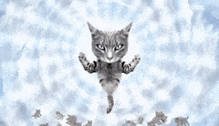 Size: 240x138 | Tagged: safe, artist:cyriak, cat, feline, mammal, feral, 2d, 2d animation, ambiguous gender, ambiguous only, animated, cyriak, flying, gif, god is alive, group, low res, not salmon, photomanipulation, wat, wings