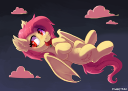 Size: 1086x768 | Tagged: safe, artist:pucksterv, flutterbat (mlp), fluttershy (mlp), bat pony, equine, fictional species, mammal, pony, feral, friendship is magic, hasbro, my little pony, apple, cheek fluff, cloud, ear fluff, eating, female, floating, fluff, food, fruit, herbivore, looking at you, red eyes, signature, simple background, solo, solo female, species swap, wings