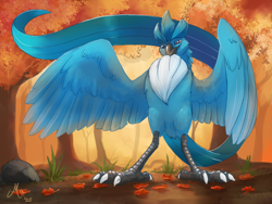 Size: 1920x1440 | Tagged: safe, alternate version, artist:magpi, articuno, bird, fictional species, legendary pokémon, feral, nintendo, pokémon, 2020, autumn, beak, bird feet, blue feathers, chest fluff, claws, digital art, erection, feathered wings, feathers, featureless crotch, fluff, forest, grass, gray body, leaf, long tail, looking at you, male, neck fluff, nudity, outdoors, red eyes, signature, solo, solo male, spread wings, standing, tail, tail feathers, talons, wings