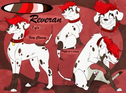 Size: 1280x951 | Tagged: safe, artist:xxrainbowgirlyxx, oc, oc only, oc:reveran (cobaltdawg), canine, dalmatian, dog, mammal, feral, 2019, abstract background, brown body, brown fur, character name, collar, color palette, digital art, eye through hair, floppy ears, fur, hair, looking sideways, male, paw pads, paws, pet tag, raised tail, rear view, red hair, reference sheet, side view, sitting, solo, solo male, spotted fur, standing, tail, teeth, tongue, tongue out, underpaw, white body, white fur