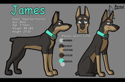 Size: 1280x837 | Tagged: safe, artist:nomad_genesis, oc, oc only, oc:james (nomad_genesis), canine, doberman, dog, mammal, feral, 2012, black body, black fur, collar, color palette, digital art, front view, fur, gray background, gray eyes, male, paws, reference sheet, short tail, side view, simple background, sitting, smiling, solo, solo male, standing, tail, tan body, tan fur