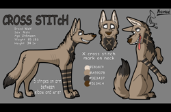 Size: 1280x838 | Tagged: safe, artist:nomad_genesis, oc, oc only, oc:cross stitch (nomad_genesis), canine, mammal, wolf, feral, 2012, brown body, brown fur, brown nose, butt fluff, character name, cheek fluff, chest fluff, claws, color palette, digital art, ear fluff, fluff, front view, fur, gray body, gray fur, male, neck fluff, paws, reference sheet, side view, sitting, solo, solo male, standing, striped fur, tail, tail fluff, three-quarter view, white eyes