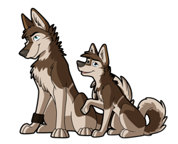 Size: 1040x845 | Tagged: safe, artist:nomad_genesis, oc, oc only, oc:kindei (nomad_genesis), alaskan malamute, canine, dog, mammal, feral, 2012, black outline, blue eyes, brown body, brown eyes, brown fur, cheek fluff, chest fluff, curled tail, duality, duo, duo male, featureless crotch, fluff, fur, head fluff, heterochromia, male, males only, neck fluff, open mouth, paws, puppy, raised leg, simple background, sitting, smiling, tail, tail fluff, transparent background, wristband, young