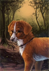 Size: 884x1280 | Tagged: safe, artist:demetrius57, oc, oc only, oc:randal (randalwuff), canine, dog, mammal, nova scotia duck tolling retriever, feral, 2016, brown body, brown eyes, brown fur, collar, digital art, digital painting, floppy ears, forest, fur, glasses, grass, looking forward, male, outdoors, pet tag, pink nose, realistic, signature, solo, solo male, three-quarter view, tree, white body, white fur