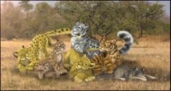 Size: 1280x684 | Tagged: safe, artist:lynxgirl, big cat, canine, feline, leopard, lion, lynx, mammal, snow leopard, tiger, wolf, feral, 2011, ambiguous gender, blep, cheek fluff, colored sclera, cream body, cream fur, cub, digital art, ear tuft, fluff, fur, grass, gray body, gray eyes, gray fur, group, holding, lying down, mouth hold, paw on back, paw pads, paws, photo background, prone, savanna, sitting, size difference, spotted fur, tail, tan body, tan fur, tongue, tongue out, tree, underpaw, yellow body, yellow fur, yellow sclera, young