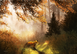 Size: 1280x905 | Tagged: safe, artist:silvixen, canine, fox, mammal, feral, lifelike feral, forest, non-sapient, realistic, scenery, scenery porn, solo