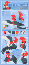 Size: 963x2133 | Tagged: safe, artist:kitchiki, oc, oc only, oc:kalena pau, bird, cardinal, red-crested cardinal, songbird, feral, 2020, bandanna, beak, bird feet, bird soles, black feathers, blue eyes, character name, cheek fluff, claws, clothes, color palette, digital art, feathered wings, feathers, female, flower, flower on head, fluff, front view, gray body, gray feathers, hair, hat, head fluff, high angle, legs in air, looking at you, looking up, lying down, medal, mohawk, on back, open mouth, pendant, red feathers, reference sheet, side view, soles, solo, solo female, spread wings, tail, tail feathers, three-quarter view, tongue, wings
