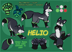 Size: 1300x939 | Tagged: safe, alternate version, artist:pocketpaws, oc, oc only, oc:helio (heliofox), canine, fox, mammal, red fox, silver fox, feral, abstract background, accessories, bandanna, bioluminescent, black body, black fur, blep, cheek fluff, chest fluff, clothes, color palette, face down ass up, fluff, fur, gray body, gray fur, green body, green eyes, green fur, lying down, male, on back, paw pads, paws, reference sheet, scarf, side view, signature, solo, solo male, stretching, tongue, tongue out, top view, underpaw