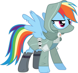 Size: 7615x7084 | Tagged: dead source, safe, artist:pink1ejack, rainbow dash (mlp), equine, fictional species, mammal, pegasus, pony, feral, dungeons & dragons, friendship is magic, hasbro, my little pony, 2016, absurd resolution, boots, clothes, crossover, dungeons and discords, fantasy class, feathered wings, feathers, female, hood, mare, mask, on model, rogue, shoes, simple background, solo, solo female, tail, thief, transparent background, utility belt, vector, wings