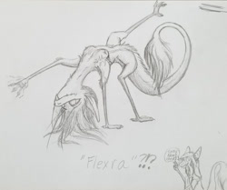 Size: 620x519 | Tagged: suggestive, artist:tersethra, oc, oc:sesra, fictional species, yinglet, anthro, the out-of-placers, breasts, female, monochrome, solo, solo female, traditional art