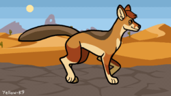Size: 1280x720 | Tagged: safe, artist:yellow-k9, canine, coyote, mammal, feral, 2d, 2d animation, ambiguous gender, animated, frame by frame, gif, solo, solo ambiguous, walk cycle, walking