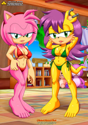 Size: 850x1201 | Tagged: suggestive, artist:bbmbbf, amy rose (sonic), mina mongoose (sonic), hedgehog, mammal, mongoose, anthro, archie sonic the hedgehog, sega, sonic the hedgehog (series), 2020, armpits, barefoot, bedroom eyes, belly button, bikini, breasts, clothes, duo, duo female, female, green bikini, green eyes, green swimsuit, hands behind head, looking at you, open mouth, quills, red bikini, red swimsuit, swimsuit