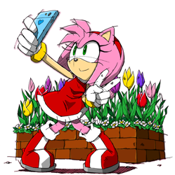 Size: 1092x1096 | Tagged: safe, official art, amy rose (sonic), hedgehog, mammal, anthro, sega, sonic the hedgehog (series), artist, brick, clothes, female, flower, green eyes, quills, ring, ringtail, selfie, smiling, solo, solo female, tail