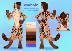 Size: 1280x908 | Tagged: safe, artist:jungabeast, oc, oc only, oc:mahalo (mahalocheetah), cat, cheetah, feline, hybrid, mammal, siamese, anthro, digitigrade anthro, 2019, arm fluff, blue eyes, brown hair, character name, chest fluff, claws, color palette, complete nudity, digital art, ear fluff, featureless crotch, fluff, front view, gradient background, hair, looking at you, looking forward, male, nudity, one eye closed, paw pads, paws, pubic fluff, rear view, reference sheet, ringtail, shoulder fluff, signature, solo, solo male, standing, tail, tongue, tongue out, watermark, whiskers, winking
