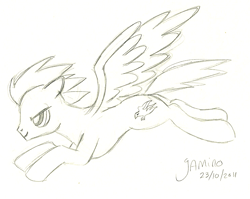 Size: 1476x1174 | Tagged: safe, artist:yamino, oc, oc only, oc:flickerflare, bird, equine, fictional species, mammal, pegasus, phoenix, pony, feral, friendship is magic, hasbro, my little pony, 2011, commission, cutie mark, feathered wings, feathers, floppy ears, flying, grayscale, hair, hooves, lidded eyes, line art, male, mane, monochrome, pencil drawing, side view, simple background, smiling, solo, solo male, spread wings, stallion, tail, traditional art, white background, wings