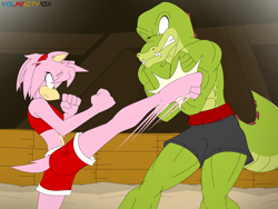 Size: 2842x2138 | Tagged: safe, artist:volksgtifox, amy rose (sonic), vector the crocodile (sonic), crocodile, crocodilian, hedgehog, mammal, reptile, anthro, sega, sonic the hedgehog (series), 2020, colored pupils, female, fighting, green eyes, high res, kick, kicking, male, martial arts, mixed martial arts, mma, muscles, muscular male, one eye closed, quills, sanshou, slit pupils, underground, winking