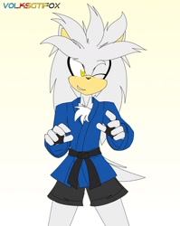 Size: 1024x1285 | Tagged: safe, artist:volksgtifox, silver the hedgehog (sonic), hedgehog, mammal, anthro, sega, sonic the hedgehog (series), 2019, colored pupils, male, martial arts, one eye closed, quills, sambo, solo, solo male, winking, yellow eyes