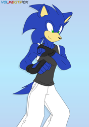 Size: 1282x1825 | Tagged: safe, artist:volksgtifox, sonic the hedgehog (sonic), hedgehog, mammal, anthro, sega, sonic the hedgehog (series), 2020, clothes, colored pupils, fighting, fingerless gloves, gloves, green eyes, male, martial arts, muscular arms, quills, solo, solo male