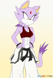 Size: 1024x1511 | Tagged: safe, artist:volksgtifox, blaze the cat (sonic), cat, feline, mammal, anthro, sega, sonic the hedgehog (series), 2019, abs, amber eyes, black belt, clothes, colored pupils, female, gi, karate, martial arts, muscles, muscular arms, robe, solo, solo female, sports bra, topwear, trousers