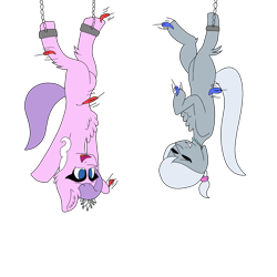 Size: 2449x2449 | Tagged: safe, artist:icey-wicey-1517, artist:thepon7, diamond tiara (mlp), silver spoon (mlp), earth pony, equine, fictional species, mammal, pony, feral, friendship is magic, hasbro, my little pony, blank flank, bondage, chest fluff, colored, cute, eyes closed, feather, female, fetish, fluff, front hoof tickling, hanging, high res, hoof fetish, hoof tickling, jewelry, mare, necklace, older, open mouth, shackles, simple background, sketch, suspended, tiara, tickle torture, tickling, transparent background, upside down