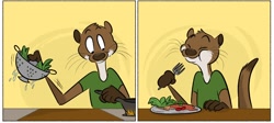 Size: 2048x920 | Tagged: safe, artist:strawbear_arts, artist:toontailscomics, collaboration, fish, mammal, mustelid, otter, anthro, brown body, brown fur, clothes, comic, cooking, cream body, cream fur, eating, eyes closed, fur, male, pan, salad, shirt, solo, solo male, stove, tail, tomato, topwear, whiskers