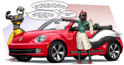 Size: 1280x675 | Tagged: safe, artist:mykegreywolf, oc, oc only, oc:liz (mykegreywolf), badger, mammal, mustelid, skunk, anthro, abs, adonis belt, belly button, biceps, blonde hair, blouse, body markings, bottomwear, breasts, car, clothes, crop top, dialogue, digital art, duo, duo female, ears, eyelashes, female, flexing, fluff, fur, hair, high heels, map, midriff, muscles, muscular female, open mouth, pointing, red hair, shoes, skirt, sneakers, speech bubble, sports bra, tail, tail fluff, talking, text, tongue, topwear, vehicle, volkswagen, volkswagen beetle, workout clothes