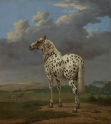 Size: 3489x3903 | Tagged: safe, artist:paulus potter, canine, dog, equine, horse, mammal, feral, lifelike feral, 1650, ambient humans, ambient wildlife, balls, brown body, brown fur, building, butt, detailed, detailed background, fine art, fur, grass, group, hair, high res, hooves, male, male focus, mane, non-sapient, nudity, outdoors, realistic, rear view, riding, riding on back, rock, short hair, signature, solo focus, spotted fur, stallion, standing, tail, three-quarter view, traditional art, tree, white body, white fur