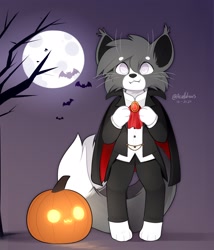 Size: 1800x2100 | Tagged: safe, artist:accelldraws, oc, oc only, oc:valence (accelldraws), bat, cat, feline, fictional species, maine coon, mammal, undead, vampire, semi-anthro, 2020, ambient wildlife, blind, bottomwear, clothes, costume, digital art, food, front view, fur, gray body, gray eyes, gray fur, halloween, halloween costume, holiday, jack-o-lantern, male, moon, multicolored fur, multiple tails, owo, pants, paws, pumpkin, solo, solo male, standing, tail, tree, two tails, vegetables, white body, white fur