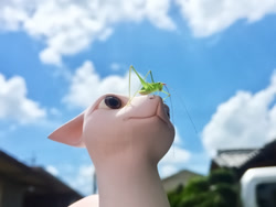 Size: 1000x750 | Tagged: safe, artist:tatsuya horimoto, ambiguous species, arthropod, grasshopper, insect, ambiguous form, feral, lifelike feral, 2020, ambiguous gender, antennae, blurred background, brown eyes, cloud, craft, duo, irl, non-sapient, outdoors, photo, realistic, sculpture