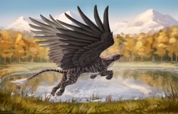 Size: 1280x823 | Tagged: safe, artist:azany, bird, feline, fictional species, gryphon, mammal, feral, ambiguous gender, beak, flying, forest, paw pads, paws, pond, scenery, solo, solo ambiguous, underpaw