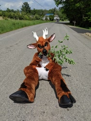 Size: 1536x2048 | Tagged: safe, artist:thefuzzfactory, part of a set, photographer:winstonhorse, oc, oc:buckley (buckleydeer), cervid, deer, mammal, anthro, unguligrade anthro, 2020, antlers, brown body, brown fur, building, car, chest fluff, cloven hooves, fluff, front view, fullsuit, fur, fursuit, grass, head fluff, hooves, irl, leaf, looking at you, male, outdoors, photo, pink skin, road, sitting, skin, solo, solo male, tree, tree branch, underhoof, utility pole, vehicle, white body, white fur