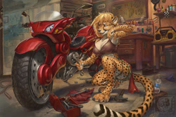 Size: 1200x800 | Tagged: safe, artist:sixthleafclover, cheetah, feline, mammal, anthro, big breasts, bottomwear, breasts, clothes, female, hammer, motorcycle, short shorts, shorts, solo, solo female, tank top, tools, topwear, vehicle, wrench