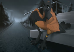 Size: 1280x896 | Tagged: character needed, safe, artist:smileeeeeee, oc, oc only, bird, songbird, anthro, 2020, beak, black body, black feathers, brown feathers, claws, digital art, feathered wings, feathers, gray eyes, male, outdoors, sitting, solo, solo male, spread wings, stairs, tail, tail feathers, talons, winged arms, wings
