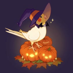 Size: 2048x2048 | Tagged: safe, artist:beeper, bird, cockatiel, cockatoo, parrot, feral, 2020, autumn, clothes, food, halloween, hat, high res, holiday, jack-o-lantern, pumpkin, solo, vegetables, witch hat