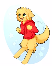 Size: 1000x1250 | Tagged: safe, artist:accelldraws, oc, oc only, oc:friday (accelldraws), canine, dog, golden retriever, mammal, semi-anthro, 2019, abstract background, brown body, brown fur, clothes, female, fur, green eyes, hoodie, open mouth, smiling, solo, solo female, tail, tail wag, topwear