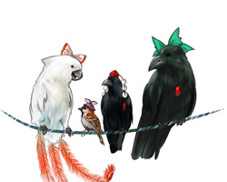 Size: 1000x800 | Tagged: safe, artist:arunglaksmana, aya shameimaru (touhou), fujiwara no mokou (touhou), mystia lorelei (touhou), utsuho reiuji (touhou), bird, cockatoo, corvid, crow, fictional species, parrot, phoenix, raven, songbird, sparrow, feral, touhou, black feathers, brown feathers, clothes, feathers, female, females only, feralized, front view, furrified, group, hat, simple background, size difference, tail, tail feathers, white background, white feathers