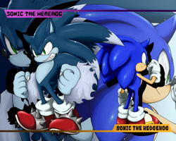 Size: 1280x1024 | Tagged: safe, artist:shoppaaaa, sonic the hedgehog (sonic), sonic the werehog (sonic), hedgehog, mammal, anthro, sega, sonic the hedgehog (series), sonic unleashed, 2010, duality, duo, duo male, green eyes, male, males only, quills, self paradox, werebeast, werehog