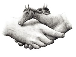 Size: 800x600 | Tagged: safe, artist:redmer hoekstra, equine, horse, human, mammal, feral, abstract, ambiguous gender, hands, handshake, monochrome, not salmon, traditional art, wat